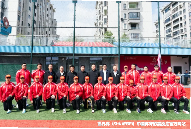 核心团队与专业资质